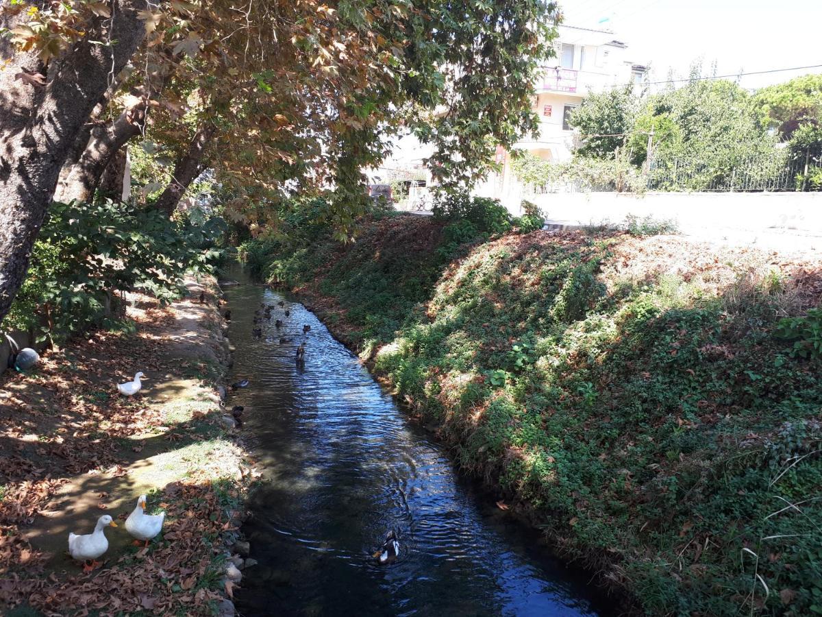 Samos Apart Pension Guzelcamlı Екстериор снимка