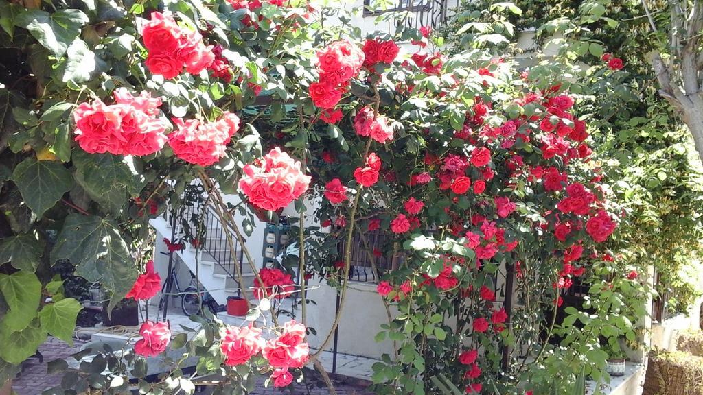 Samos Apart Pension Guzelcamlı Екстериор снимка