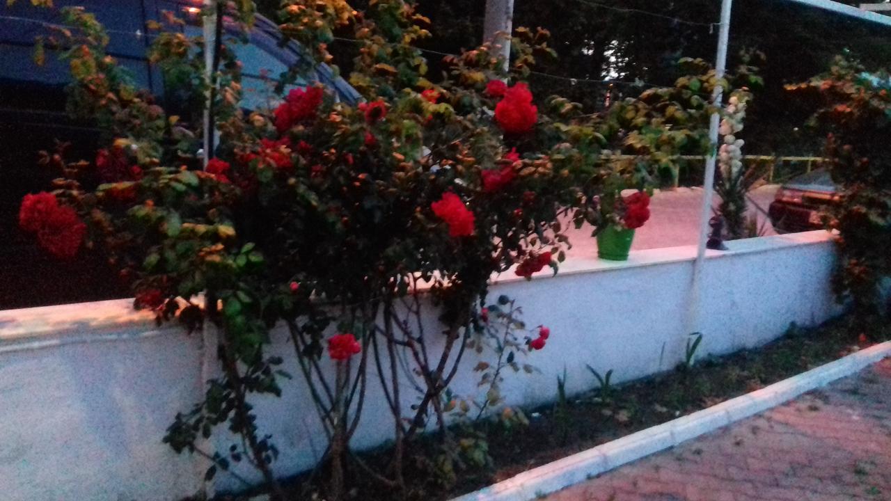 Samos Apart Pension Guzelcamlı Екстериор снимка